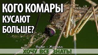 Почему комары кусают некоторых людей больше других!