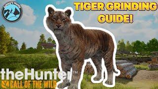 TIGER GRINDING GUIDE!-The Hunter call of the Wild