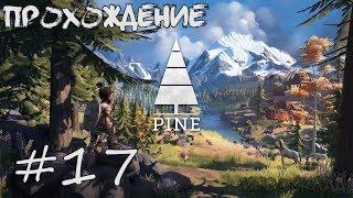 Pine  #17  Старое и новое.