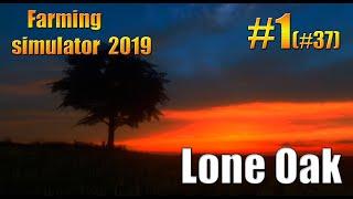 Lone Oak/timelapse/Farming simulator 19/fs19/фс19/#1(#37).