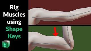 Blender Secrets - Shape Keys for Muscle Deformations 