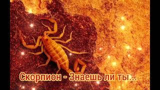 Скорпион - Знаешь ли ты...|Шоу "Маска-4"|[10-Выпуск️‍]