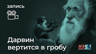 Александр Литвин: Дарвин вертится в гробу