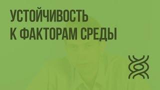 Устойчивость к факторам среды. Видеоурок по биологии 11 класс