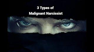 3 Types of Malignant Narcissist: Grandiose, Covert, Borderline