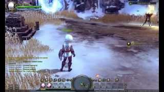 Dragon Nest - Клирик