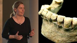 How "Paleo" is Your Diet? - AMNH SciCafe