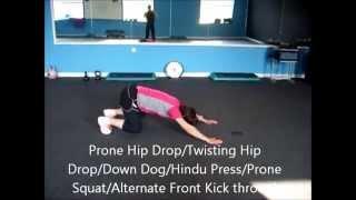 Absolute Core Personal Training with Kim Tomlin_Upperbody Strength and Endurance Primal Flow