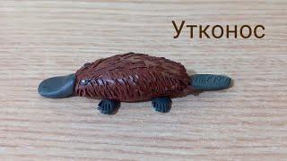 Лепим утконоса.