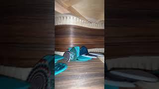 Trapped in an acoustic guitar