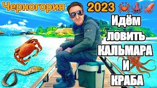 Черногория 2023  | Охотимся на КАЛЬМАРА и КРАБА | Адриатическое море 