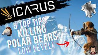 5 TOP TIPS KILLING POLAR BEARS LOW LEVEL ICARUS