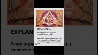 Mudras 101: The Healing Power of Hand Gestures