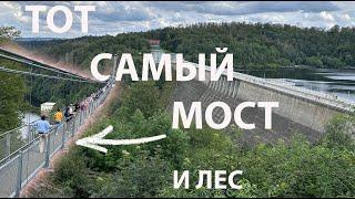 Горы Гарц: фахверк, уничтоженный лес и мост Титан (Германия: Из Берлина на выходные)