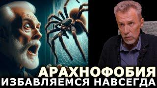 Арахнофобия: боязнь пауков, причины фобии и лечение