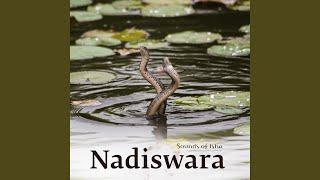 Nadiswara