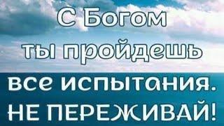 ЧАТЬ ДРУЖБЫ - «ЛЮБИТЕ ДРУГ ДРУГА ТАК , КАК Я ВОЗЛЮБИЛ ВАС ПРЕЖДЕ ВСЕГО « - 17.12.2024