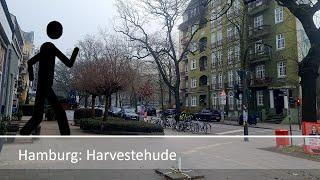 Der Geher in Hamburg: Video 200, Harvestehude