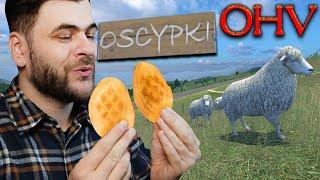 Góralskie oscypki w rytmie disco polo - OHV (#8)