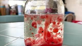 Little Scientists | Lava “Lamp”
