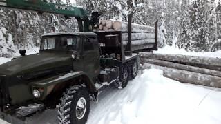 Покатушки за лесом Урал не едет в подъёмы Опасные лесные дороги