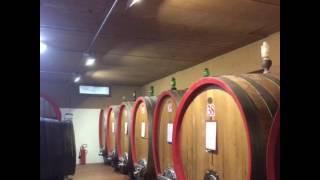 Spring wine tours in Tuscany with Cooltours