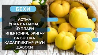 БЕХИНИНГ АСТМА, УПКА ВА НАФАС ЙУЛЛАРИ, ГИПЕРТОНИЯ ВА БОШКА КАСАЛЛИКЛАР УЧУН ФОЙДАСИ