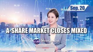 A-share market closes mixed