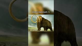 How extinct animals sounded like  #shorts