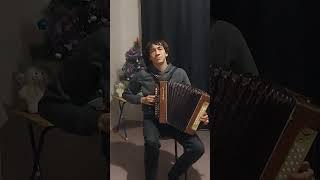 Новогодняя музыка ( на гармошке)