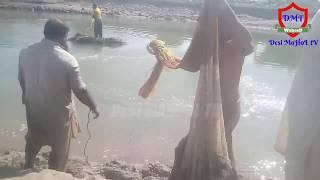 fish hunting by desi mahool tv JHANG BRANCH 2019