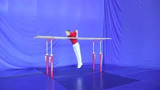 Exercise 9. Flexion-extension of the arms in emphasis on the bars