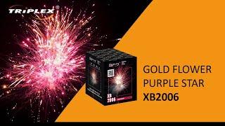 FAJERWERKI XB2006 25S 1.2 '' CAKE GOLD FLOWER PURPLE STAR F2 PROFI TRIPLEX FIREWORKS