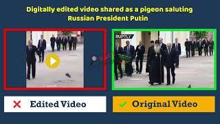 Digitally edited video shared as a pigeon saluting Russian President Putin