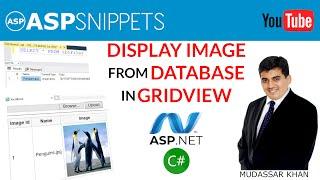 Display images from SQL Server Database in ASP.Net GridView control using C#