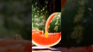 9 Best Fruits to Cleanse Your Kidneys Naturally | healthy vibes