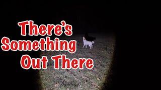 The Scariest Night Ever: My Dog Saved Our Animals AND Me!