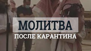 Мухаммад аль-Люхайдан - Одна из первых молитв в мечети после карантина, имам плачет