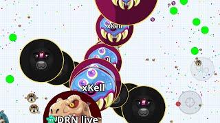 THE BEST  (AGARIO MOBILE)