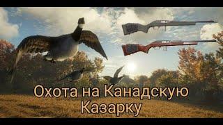 theHunter:Call of the Wild/Охота на Канадскую Казарку