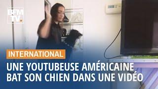 Cette youtubeuse américaine publie (par erreur) une vidéo où elle bat son chien