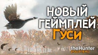 Ты не поверишь! - Быстрые деньги - Прокачка -  theHunter Call of the Wild