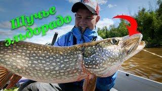 Начало рыболовного путешествия в ЩУЧЬЕ ЭЛЬДОРАДО - Fishing Today