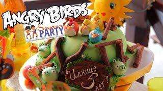 Аниматоры Angry Birds. Организация детских праздников, Кировоград