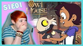 King's ADORABLE!? The Owl House 1x1 Episode 1: A Lying Witch and a Warden Reaction