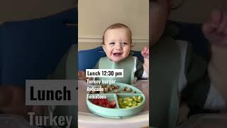 What my 12 month old eats in a day!  #blw #babyledweaning #babyfood #shorts