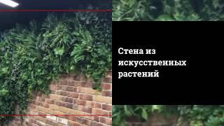 Искусственные фитостены (искусственное вертикальное озеленение)