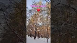 #райское#место#для# прогулок#набережные #челны #татарстан