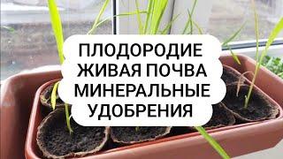 Плодородие Живой Почвы Какие удобрения?