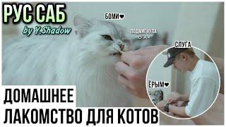 [РУС САБ | RUS SUB] [WONHO] ГОТОВИМ ЛАКОМСТВО ДЛЯ КОШЕК ВОНХО, жевательная вкусняшка — [ohhoho]